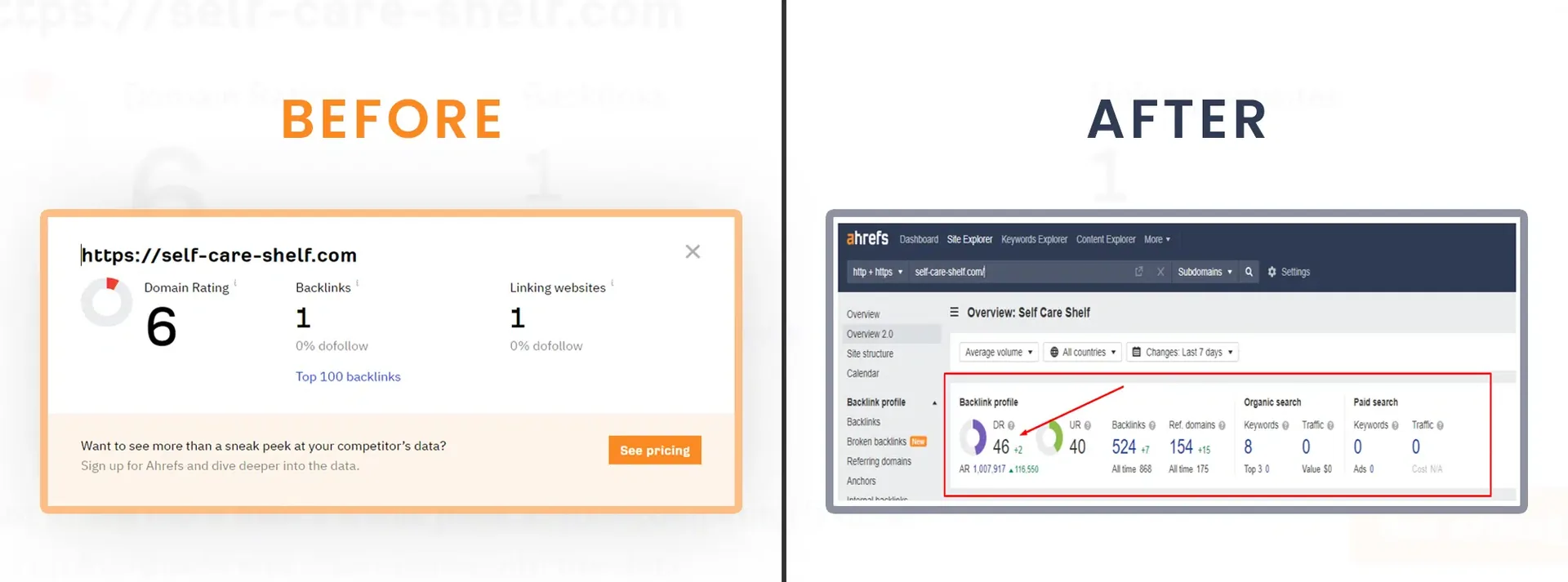 Domain Rating Improvement