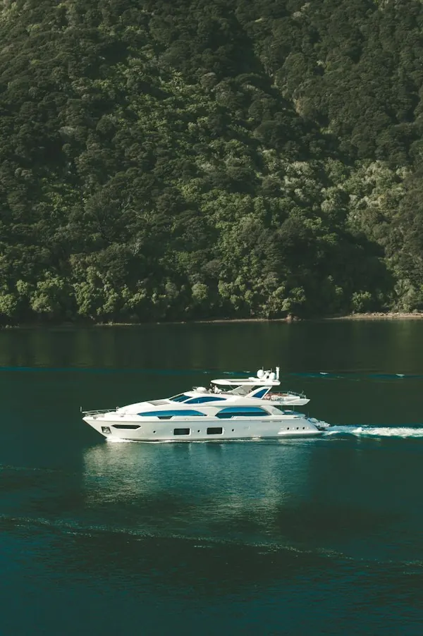 Cruiser near a forested shore