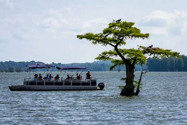 Pontoon boat on a lake