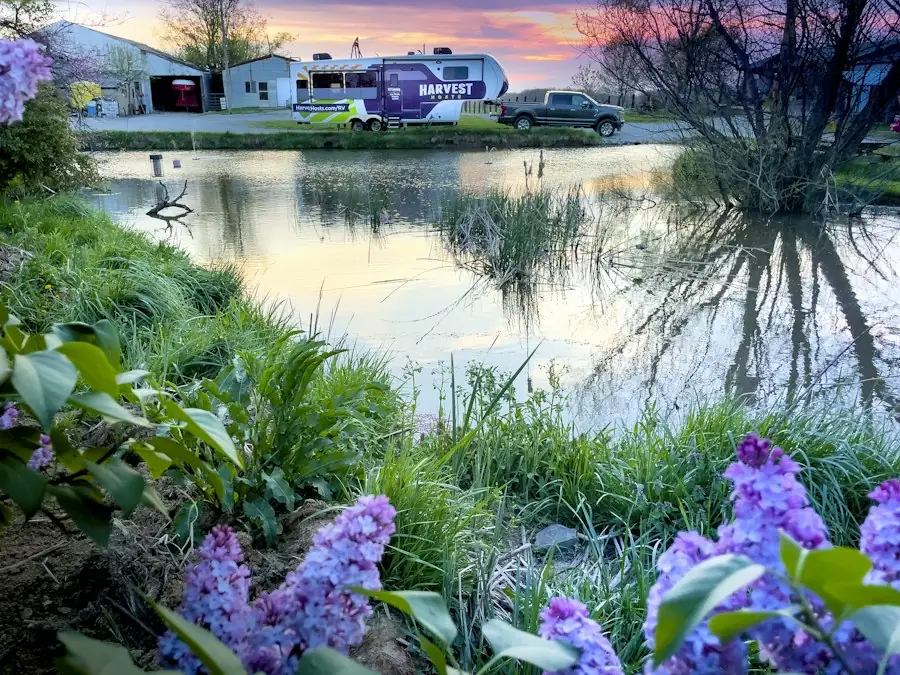 RV park landscape