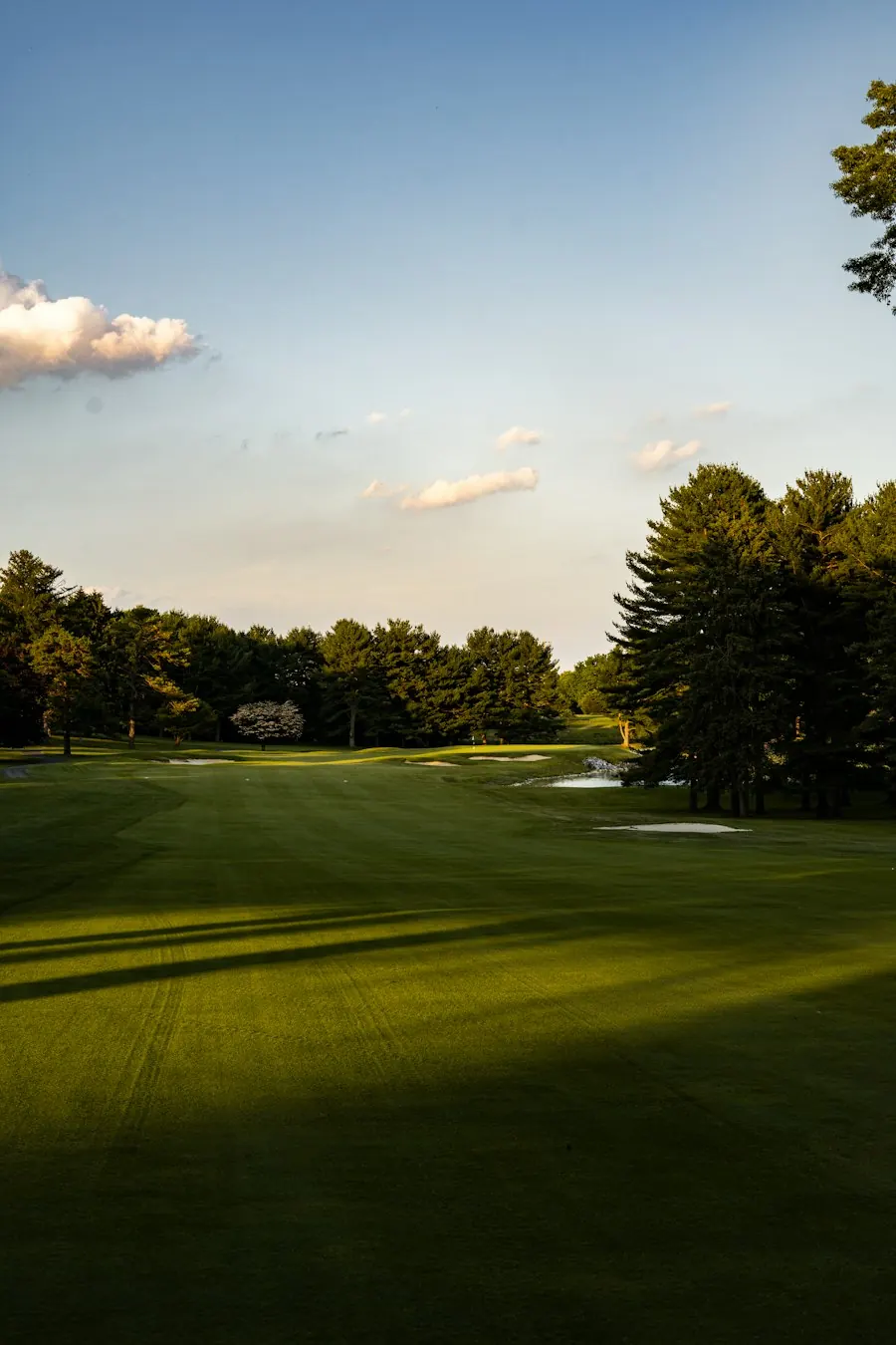 Golf course at sunrise