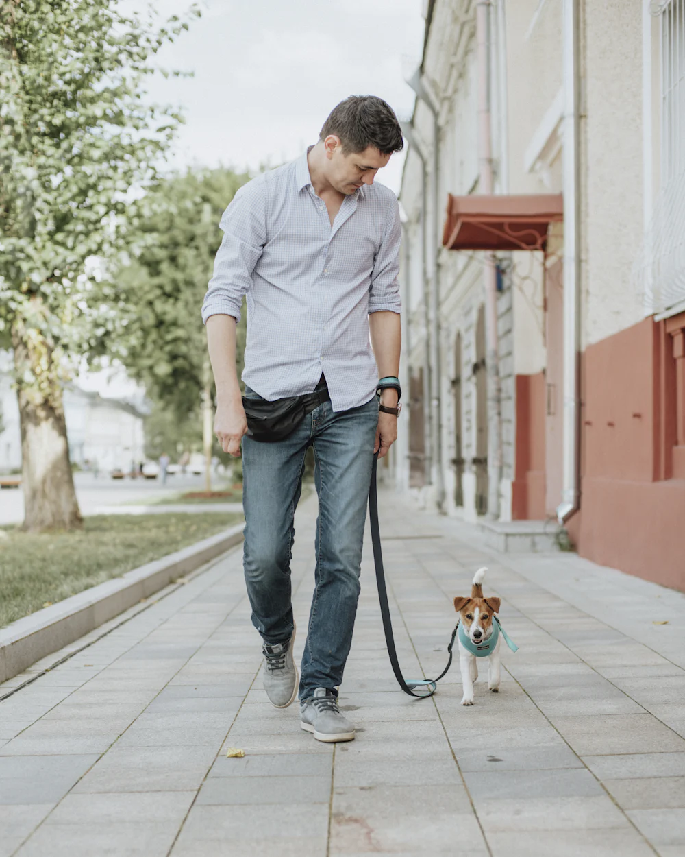 Owner walking a dog on a city street