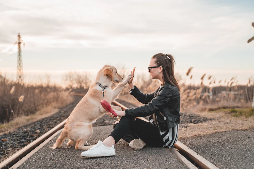 Owner with dog