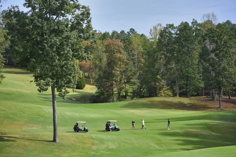 Golf course at golden hour