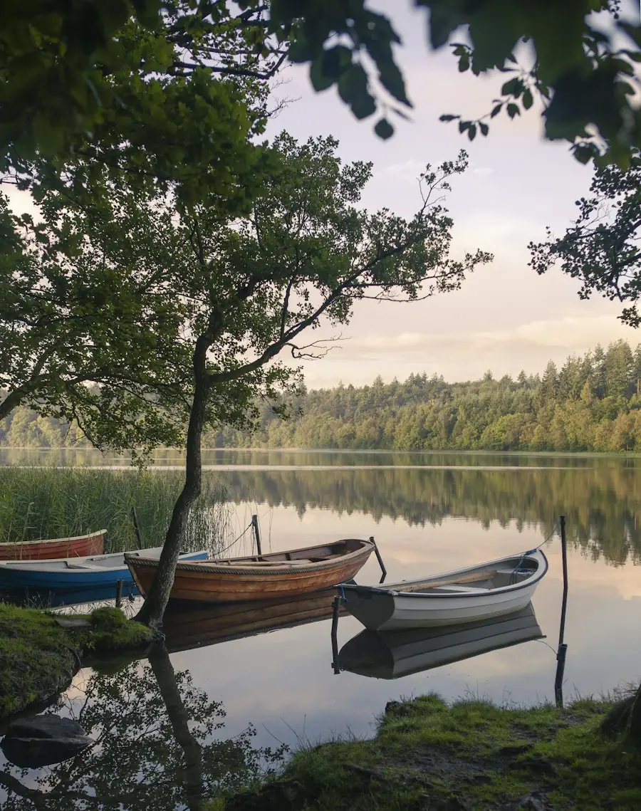 Lake at sunset with boats