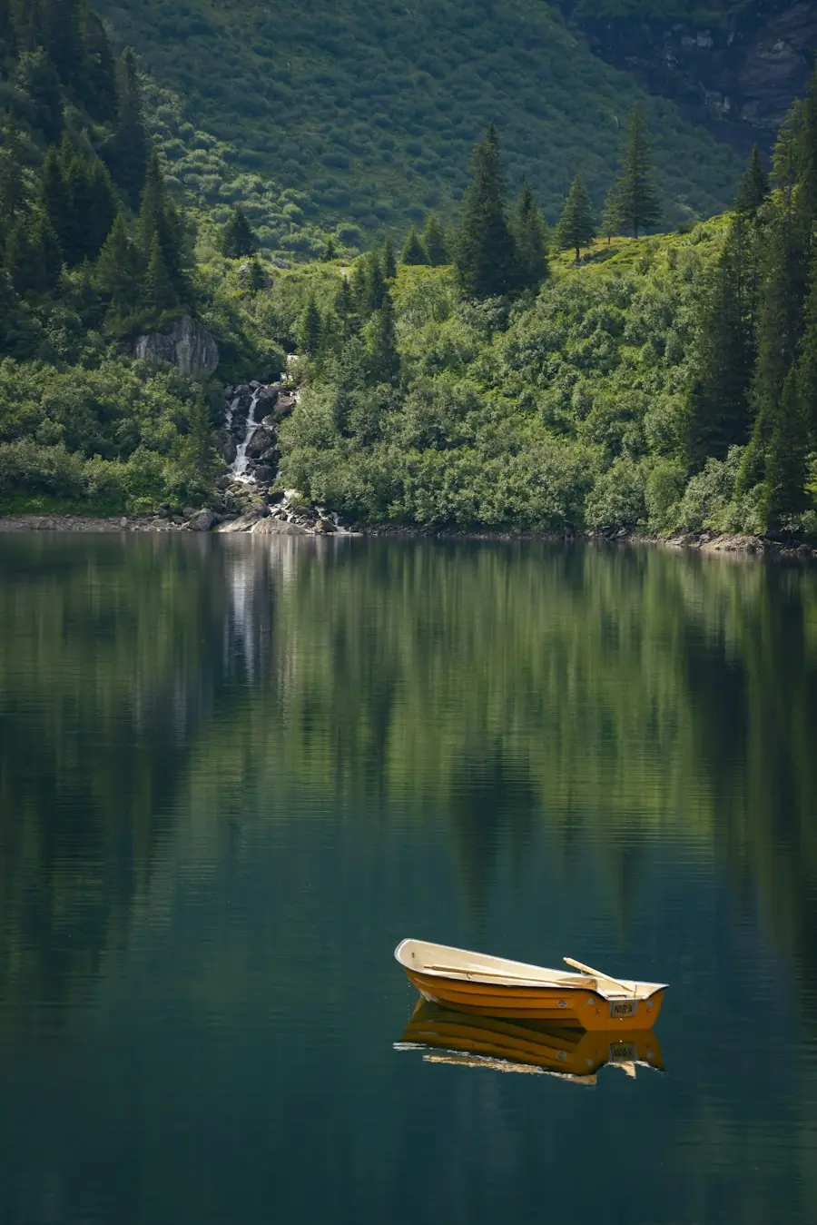 Lake surrounded by forest