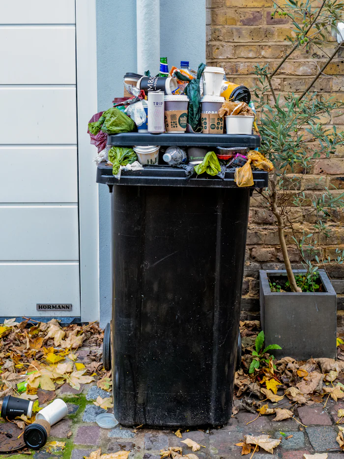 Residential bin