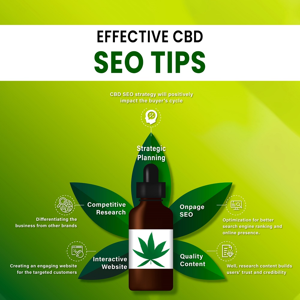 seo for CBD companies